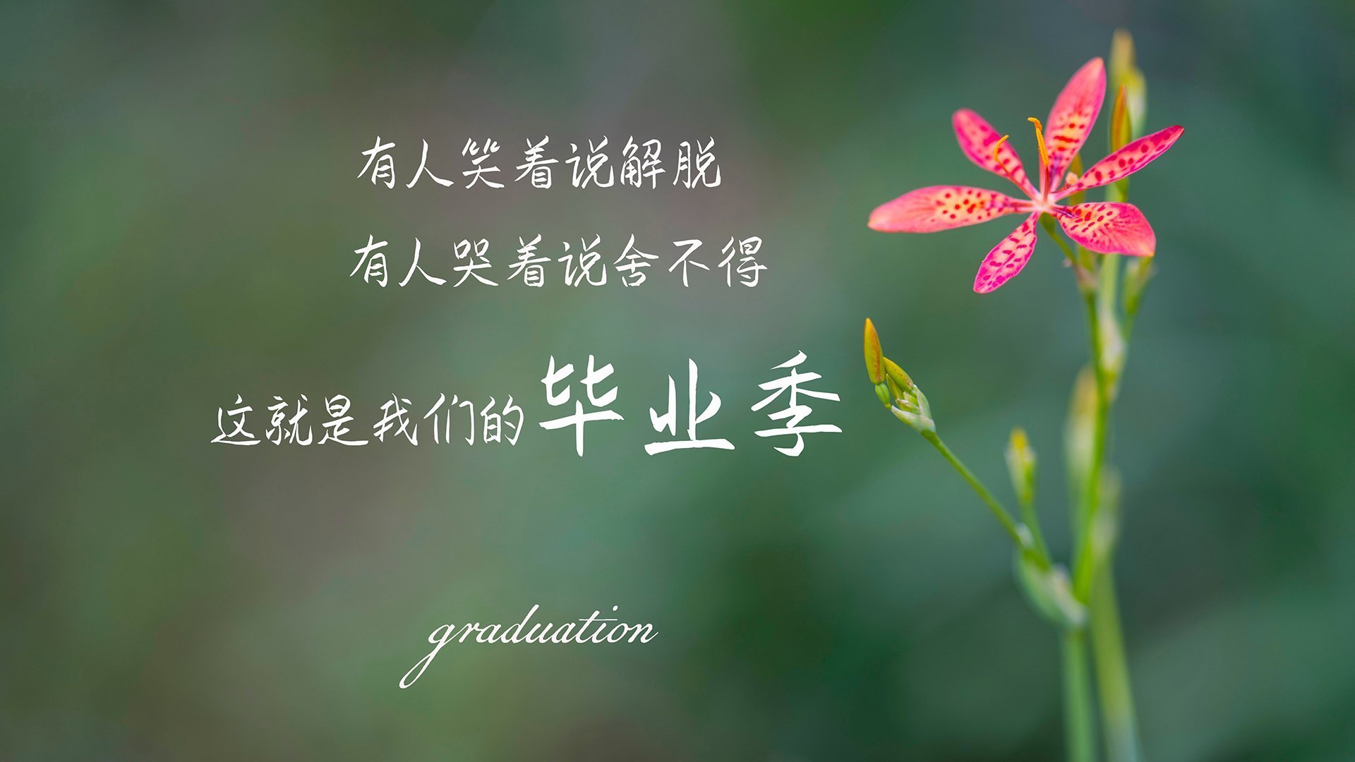 技术动作连贯性成胜负分水岭，技术动作的定义