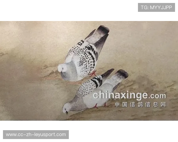 赛后明星访谈:欧冠中的那些感人瞬间,欧冠精彩片段