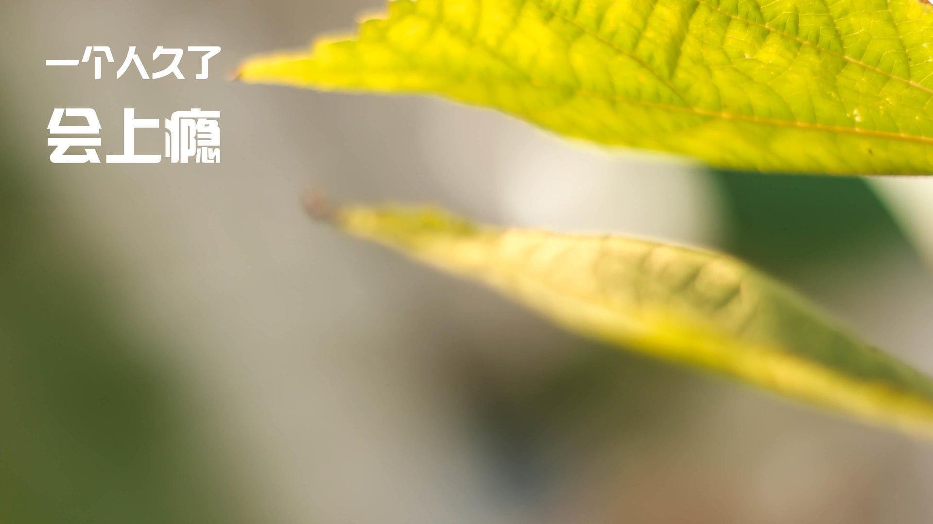 乐鱼体育平台登录-2024年国际乒联混合团体世界杯：瑞典队如何脱颖而出，瑞典世界乒乓球赛